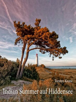 cover image of Indian Summer auf Hiddensee